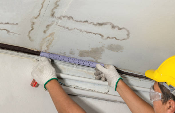 Reliable Burst Pipe Cleanup contractor in Overland Park, KS by Water Damage Irwin